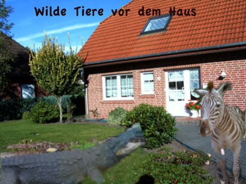 Wilde_tiere